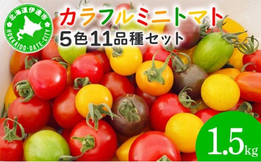 ＜先行予約＞カラフルミニトマトセット1.5kg【ffk-002】北海道 伊達市 野菜 新鮮 ふるさと納税 送料無料