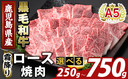 
            K-482 ＜選べる容量＞鹿児島県産A５等級黒毛和牛霜降り上ロース焼肉(計250g～750g)【ふるさと産直バザール】霧島市 牛肉 国産 鹿児島県産 ロース 焼肉 肉 精肉
          