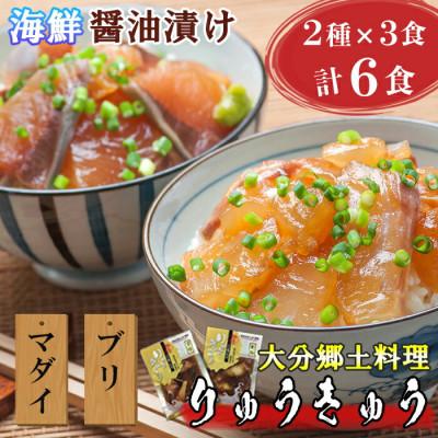ふるさと納税 杵築市 豊後絆屋　大分郷土料理りゅうきゅう漬けセット(2種×3食)