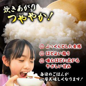 【定期便：12ケ月】令和７年産 福岡県産米 元気つくし 10kg 精米【CY012sub12】