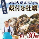 【ふるさと納税】＼選べる容量／大福丸の殻付き牡蠣 10個 20個 30個 【三陸山田産】【沖縄・離島配送不可】三陸山田 山田町 山田湾 海産品 かき YD-720var