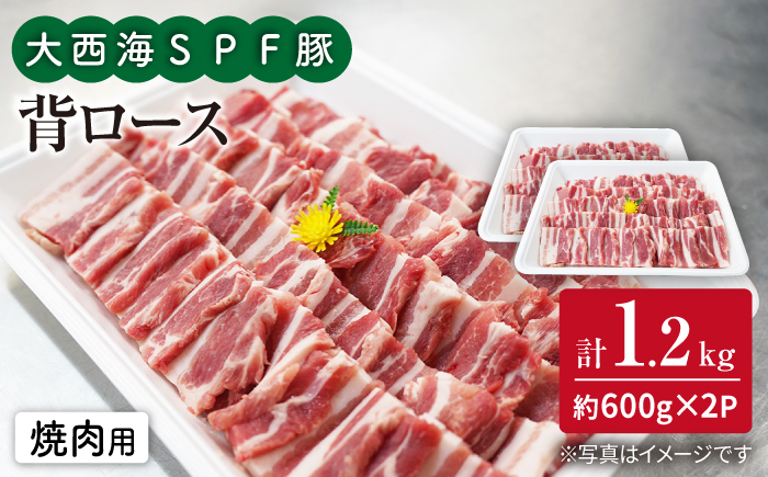 【焼肉革命】大西海SPF豚 背ロース（焼肉用）計1.2kg（600g×2パック） 訳あり ＜大西海ファーム＞ [CEK038]