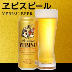 T0005-2102　【定期便2回】エビスビール500ml×1箱(24缶)【定期便】