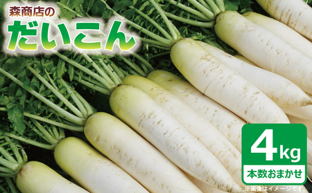 訳あり 大根 4kg 本数おまかせ 大根 | 大根