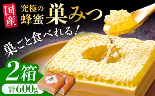 国産巣みつ 600g(300g×2個) 蜂蜜 はちみつ ハチミツ コムハニー 極上 濃厚  蜂蜜 グリークヨーグルト アサイーボウル パンケーキ ソフトクリーム オシャレ 人気 朝食 デザート 巣みつ 広川町 / 株式会社九州蜂の子本舗 [AFAI005]