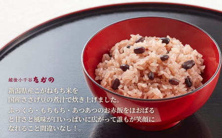 新潟産こがねもち赤飯 パックご飯 20個パック たかの/赤飯 赤飯 赤飯 赤飯 赤飯