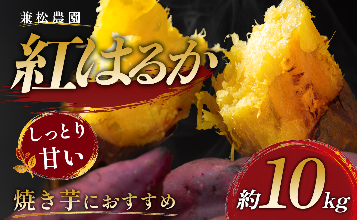 さつまいも 熟成 紅はるか 約10kg 国産 焼き芋 焼芋 やきいも しっとり 蜜芋 芋 おいも サツマイモ さつま芋 べにはるか スイーツ おやつ 産地直送 栽培期間中農薬不使用 高知県 大月町産