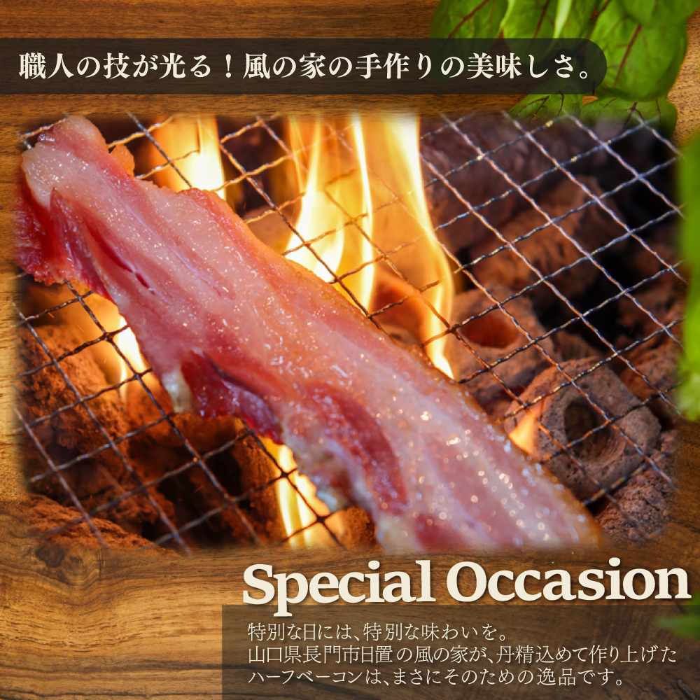 絶品おつまみ4種 詰め合わせ ギフト Aセット 日置 ベーコン ウインナー ハム 贈り物 長門市 (1137)
