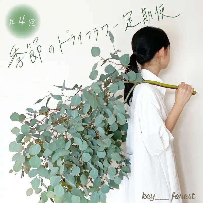【定期便4回】 季節の草木花 スワッグ リース お花 HO