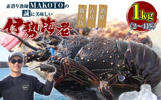 素潜り漁師MAKOTOの誠に美味しい伊勢海老 1kg（2～4匹）　C074-001
