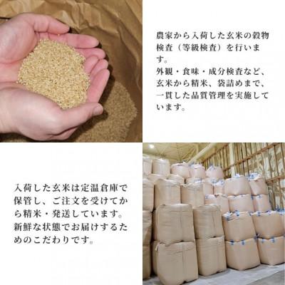 ふるさと納税 大潟村 あきたこまち5kg　秋田県産特別栽培米　大潟村のお米【令和7年産】精米 |  | 03