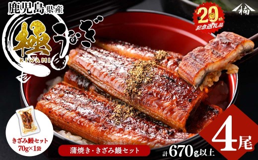 【志布志市制20周年記念】【きざみ鰻(70g)セット】楠田の極うなぎ 蒲焼き150g以上×4尾(総量670g以上) b6-020