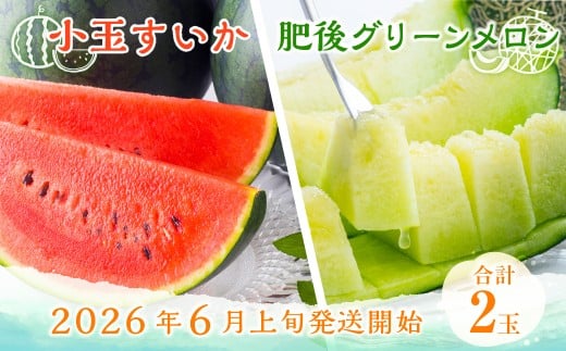 熊本県産 小玉すいか ＆ 肥後グリーンメロン 各1玉 果物 フルーツ セット ギフト 贈答品 贈り物 【2026年6月上旬～6月下旬迄順次発送予定】