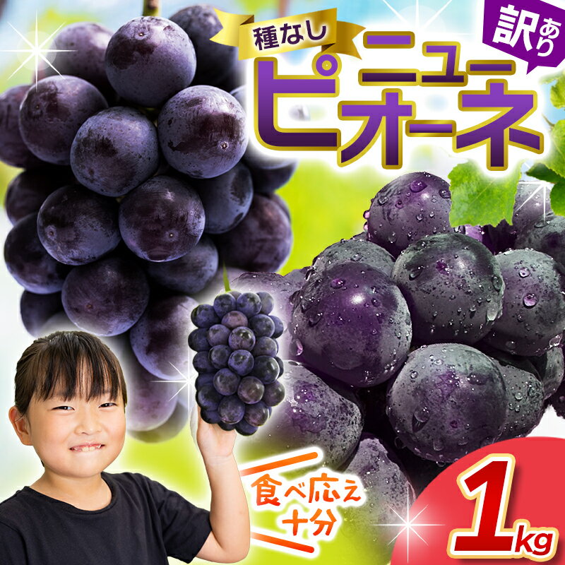 【ふるさと納税】 ピオーネ ニューピオーネ 1kg 訳あり 除草剤不使用 【2026年 9月上旬順次発送予定】 ブドウ ぶどう 葡萄 果物 くだもの フルーツ 種なし 種無し 数量限定 期間限定 産地直送 人気 ピオーネ ギフト 規格外 不揃い 岡山 先行予約 送料無料