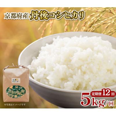 ふるさと納税 京都府 【毎月定期便】特A米 丹後コシヒカリ 5kg ブランド米を12ヶ月×5キロお届け全12回