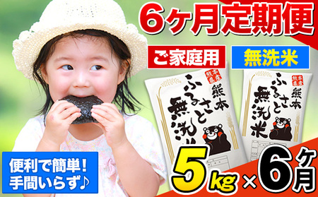 【6ヶ月定期便】熊本ふるさと無洗米 5kg 《お申し込みの翌月から出荷》