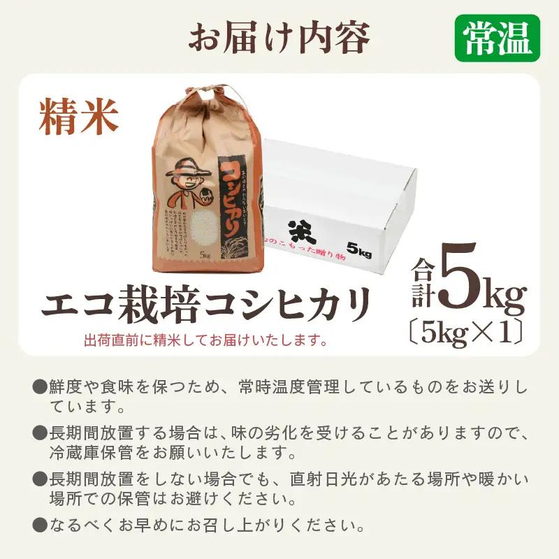 【先行予約】【令和8年産 新米】【一等米】エコ栽培コシヒカリ 白米5kg ／ 鮮度抜群 福井県産 こしひかり ご飯 新鮮 白米 ※2026年10月上旬以降順次発送 [aw063-a030]