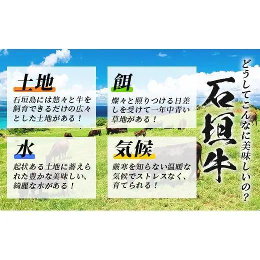 石垣牛 100% 極めハンバーグ 150g×5個  TM-5