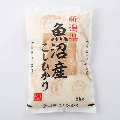 ふるさと納税 小千谷市 【毎月定期便】魚沼産コシヒカリ　5kg全6回 |  | 01