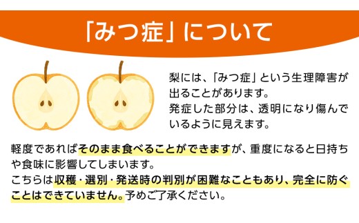 【2026年11月中旬から発送開始】王秋梨 約3kg 4玉～6玉 (茨城県共通返礼品:城里町) フルーツ 甘い お正月 クリスマス 大玉 直送 茨城 限定 [CO009sa]
