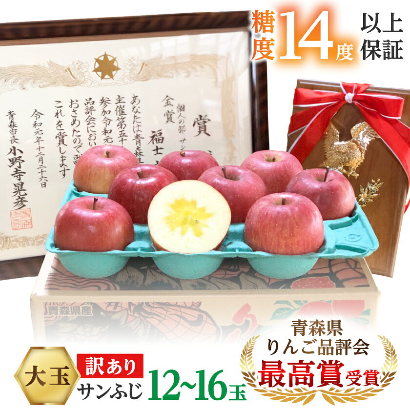 【ふるさと納税】【りんご品評会最高賞】大玉 約5kg 糖度14度以上保証 訳あり 家庭用 りんご 「サンふじ」【配送不可地域：離島】【1111237】