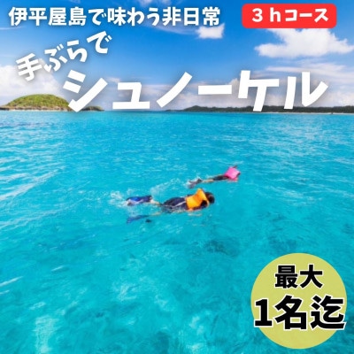 【貸し切りプラン】手ぶらでシュノーケル(1名様/3時間コース)