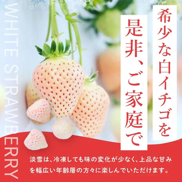 【数量限定】冷凍いちご 希少なプレミアム白イチゴ『淡雪』1kg入×2袋 合計2kg オリジナルレシピ有り（DO-1）