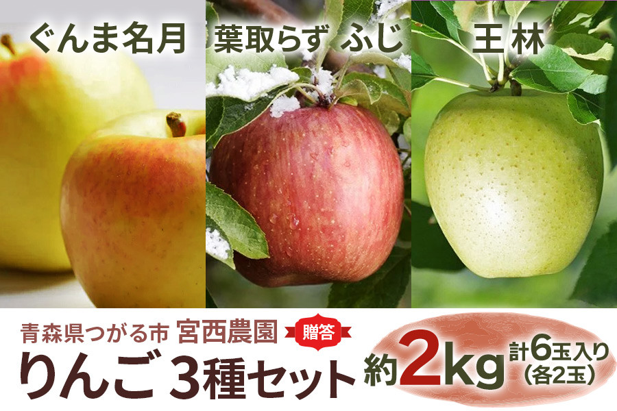 
[贈答用] ぐんま名月×葉取らずふじ×王林【約2kg 各2玉入り 計6玉】贅沢りんご 3種セット｜青森産 津軽 つがる りんご リンゴ 果物 フルーツ [0682]
