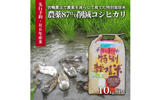 【令和6年産米】農薬87%削減コシヒカリ 合鴨農法　10kg(特別栽培米、旧名：会津磐梯山黄金米）