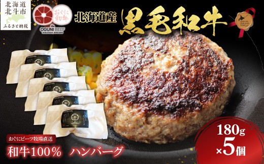 北海道産 黒毛和牛 おぐにビーフ 牧場直送  和牛100％  ハンバーグ180g×5 【 ふるさと納税 人気 おすすめ ランキング 牛 牛肉 黒毛和牛 肉 おぐにビーフ 和牛100％ ハンバーグ 和牛ハンバーグ 冷凍 北のハイグレード食品 ギフト 贈答 北海道 北斗市 送料無料 】 HOKQ006