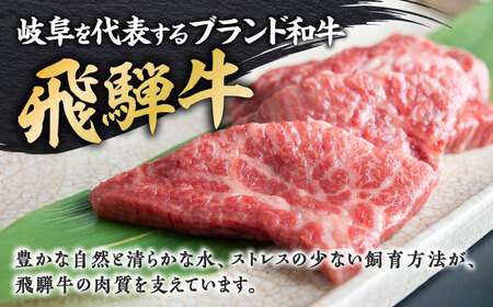 飛騨牛ひつまぶしセット 2人前 岐阜市 / 飛騨ごっつお工房[ANGU001]
