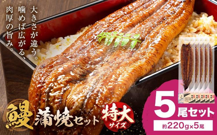 
                  ＼特大サイズ／ 鹿児島県産 鰻蒲焼真空セット！5尾  タレ・山椒付！ 株式会社薩摩川内鰻 《30日以内に出荷予定(土日祝除く)》  鹿児島県 さつま町 送料無料 ウナギ 丑の日 うなぎ 刻み グルメ 特大 鰻 蒲焼 真空
                