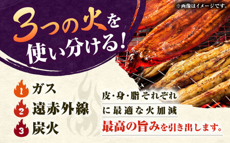 九州産 国産うなぎ 紅白鰻セット（蒲焼 白焼 骨せんべい 雛あられ） 吉野ヶ里町/丸安[FAD024]