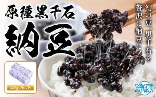原種黒千石納豆 十勝うらほろおかだ農園 3パック×6個 (1パック40g)   納豆《30日以内に出荷予定(土日祝除く)》北海道 浦幌町 十勝 納豆 冷凍 スーパーフード 朝ごはん