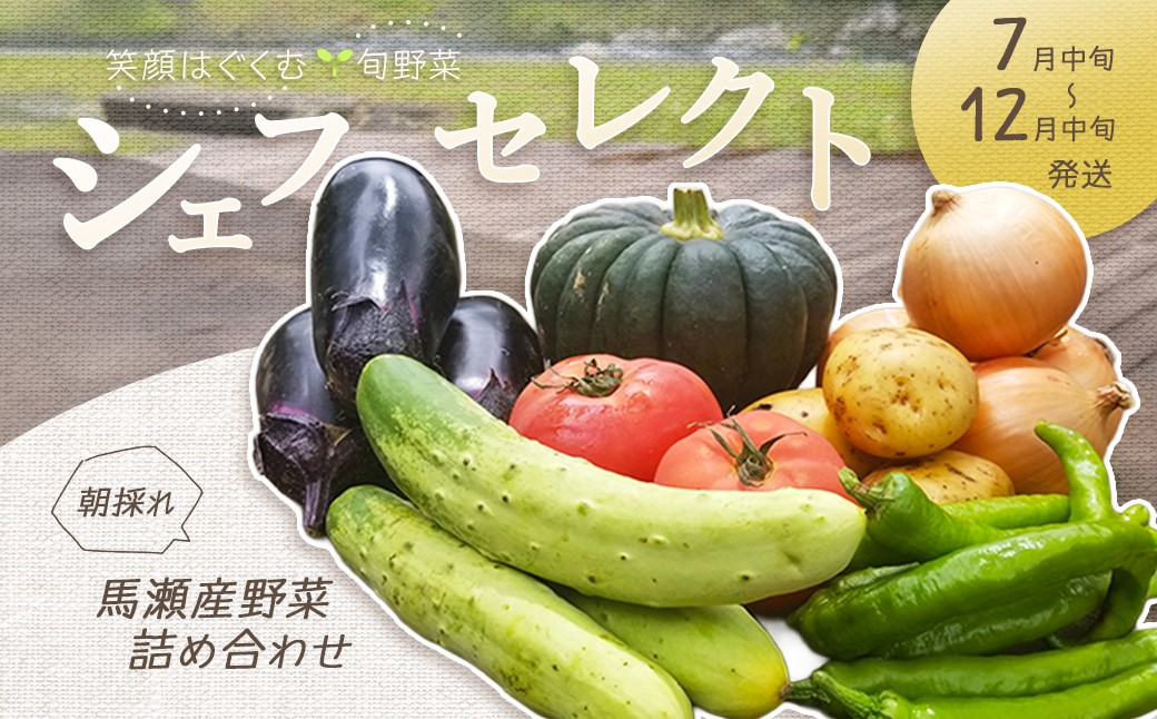 
            ＼産地直送／朝採れ!! 旬の野菜SET 『シェフセレクト』8～10品目（発送時期:2025年7月中旬から12月中旬まで） 旬 期間限定 収穫 旬野菜 詰合せ  野菜 セット 【日本で最も美しい村 馬瀬産】下呂温泉
          