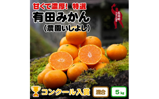 ▼特選有田みかん 【創業120年農家直送】 5kg サイズ混合 ※2024年11月より順次発送予定 【isy004-r-5】