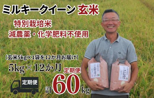 
            【ミルキークイーン 定期便 玄米 5kg✕12か月連続 松原グリーンファーム】 特別栽培米 ミルキークイーン 玄米 5kg （5kg×1袋） 12か月  合計 60kg  令和7年産 2025年産 小分け 単一米  減農薬 化学肥料不使用 埼玉県認証 埼玉県 川島町
          