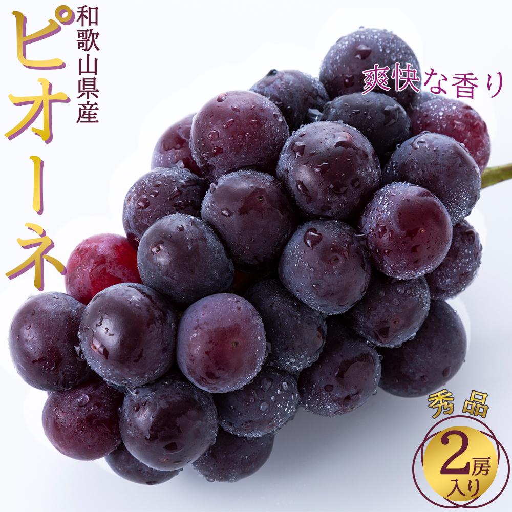 【ふるさと納税】◆先行予約◆和歌山県産 ピオーネ 2房入り〈秀品〉［2025年8月下旬以降出荷］［MG26］