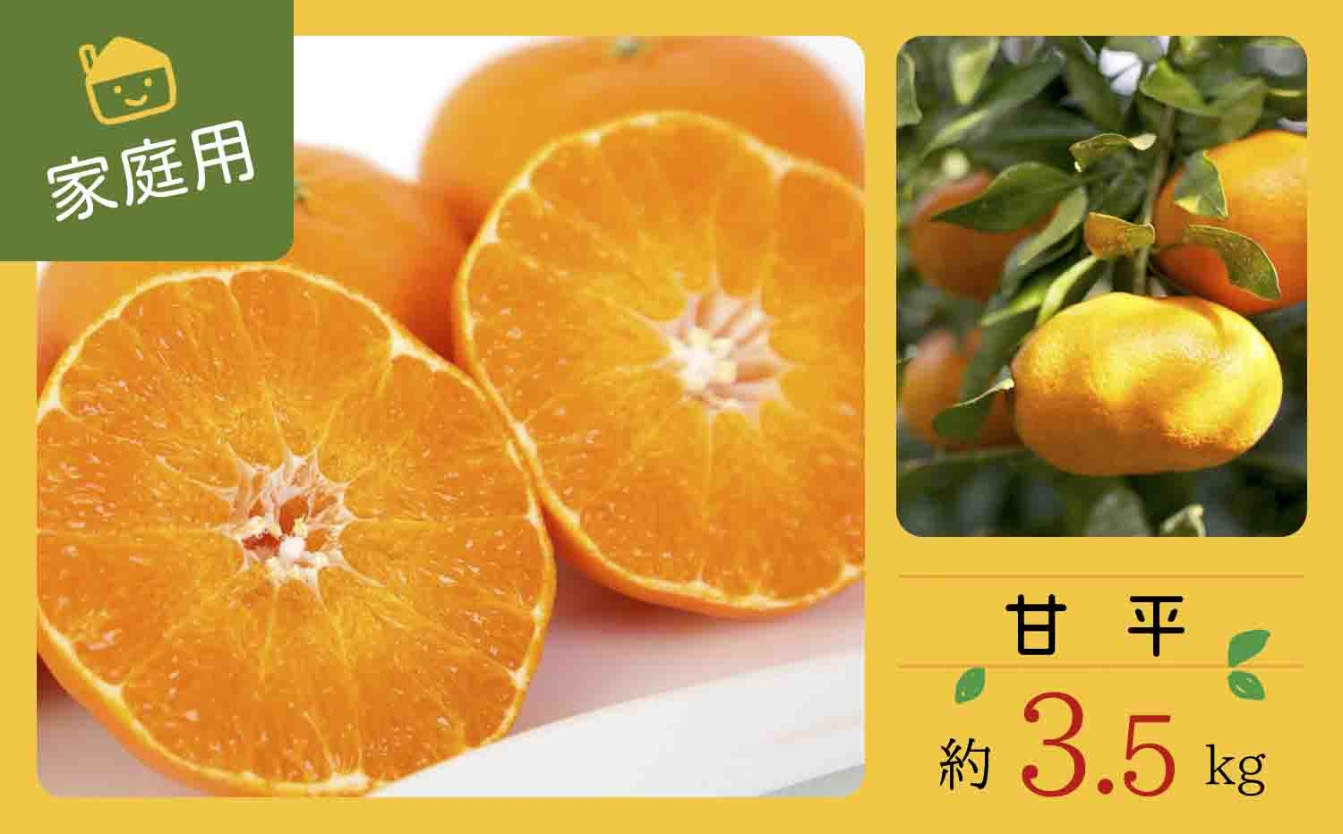 
                  【先行受付】コウ果樹園の家庭用＜甘平＞3.5kg＜C33-32＞_ かんぺい ご家庭用 みかん ミカン 蜜柑 柑橘類 柑橘 フルーツ 果物 くだもの 愛媛県 八幡浜市 人気 美味しい ふるさと 【1441221】 YWTG014
                