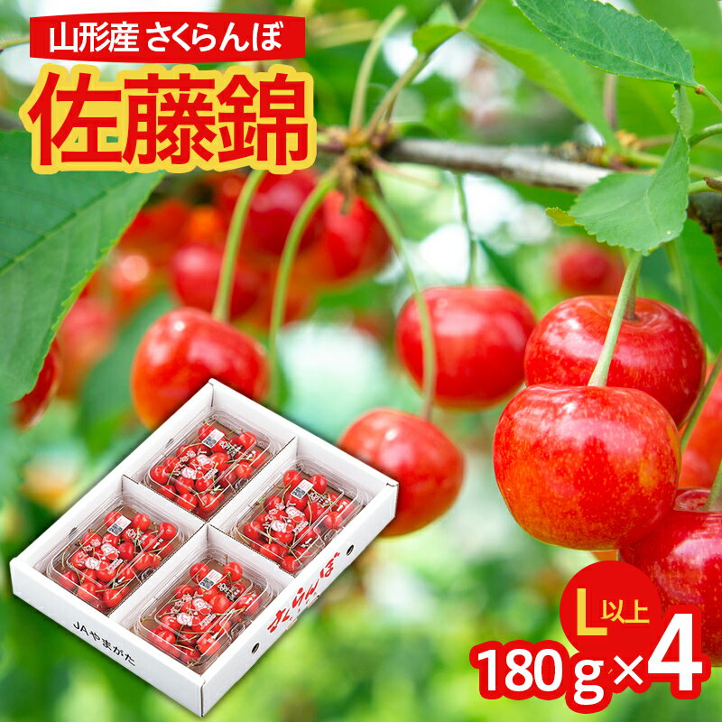 【ふるさと納税】山形市産 さくらんぼ 佐藤錦 L以上 720g(180g×4パック) バラ詰め 【令和8年産先行予約】FS25-582 くだもの 果物 フルーツ 山形 山形県 山形市 お取り寄せ 2026年産
