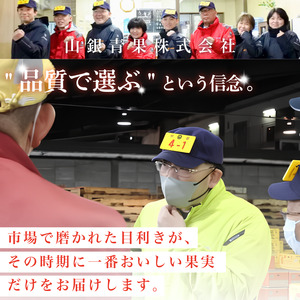 フルーツ定期便 12ヶ月 定期