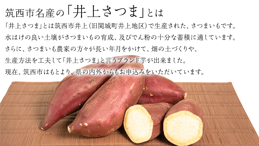 【 塚田商店 】 井上さつま 「 シルクスイート 」 5kg ( 2Lサイズ ) 新物 ブランド芋 茨城県産 筑西市産 さつまいも サツマイモ いも 芋 イモ [BD042ci]