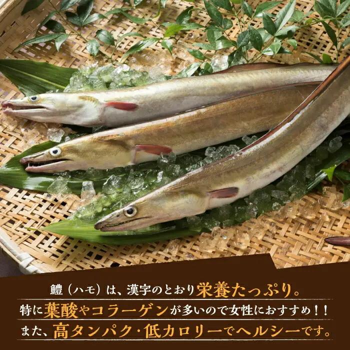 はも鍋 セット 4〜5人前 [VAG015]はも ハモ 鍋