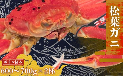 松葉カニ600g～700g×2杯〈ボイル〉松葉ガニ カニ 蟹 新鮮 旬 プレゼント 贈与 お祝い事 贈り物 年末年始 祝辞