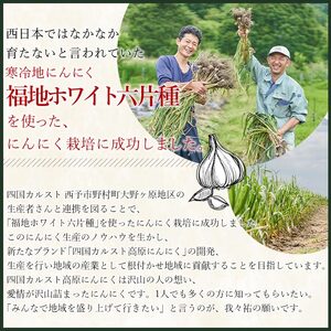 四国カルスト高原にんにくバラエティセット ３種 NTS0003