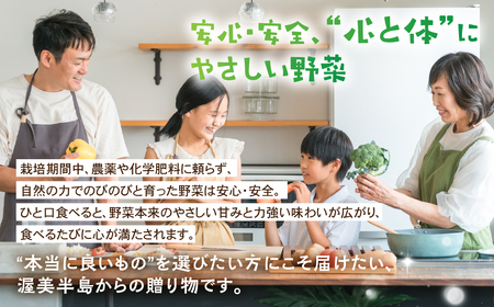 渥美半島産 やさいの宝箱 選べる 品数 Bセット