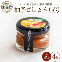 【ふるさと納税】木頭柚子ごしょう赤 45g×4個［徳島県 那賀町 木頭ゆず 木頭柚子 ゆず ユズ 柚子 ゆずこしょう 柚子胡椒 胡椒 こしょう 赤 なべ 鍋 やきとり 焼き鳥 辛い おすすめ うまい 調味料 料理 調理 贈物 プレゼント ］【KM-24】