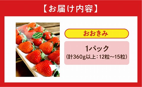 《2026年発送先行予約》【数量・期間限定】宮崎県産いちご「おおきみ」1パック(計360g以上：12粒～15粒) いちご 大粒 甘い 糖度