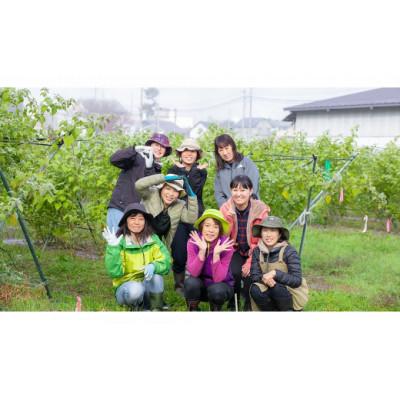 ふるさと納税 白馬村 フルーツほおずき(生食用) 100g×2パック |  | 02