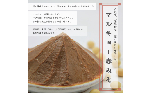 自家製 味噌 3種 500g 3パック 1.5kg セット 国産 マルキョー味噌 赤味噌 白味噌 詰め合わせ みそ 味噌汁 お味噌汁 大豆 米 調味料 発酵調味料 職人 手作り 高知県 須崎市